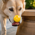 Interactive Dog Treat Dispenser Ball | Pet Food Puzzle Toy