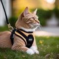 Adjustable Cat Harness with Leash - Pet Training & Walking Chest Strap