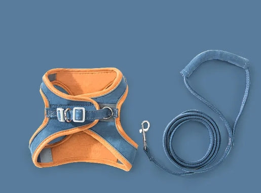 Adjustable Cat Harness and Leash Set - Pet Training Walking Chest Strap
