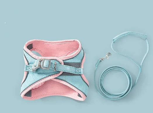 Adjustable Cat Harness and Leash Set - Pet Training Walking Chest Strap